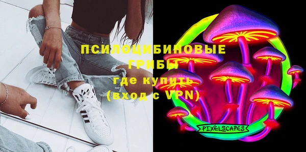 МДПВ Алексеевка